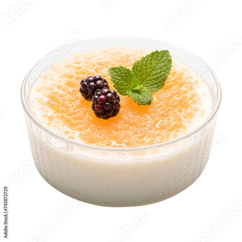 Sago pudding isolated on transparent background Remove png, Clipping Path, pen tool photo