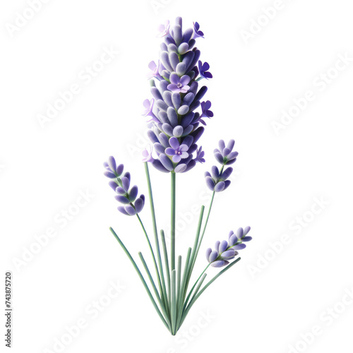  A single Lavender  themed for Mother s Day  rendered in a realistic and minimalist 3D style
