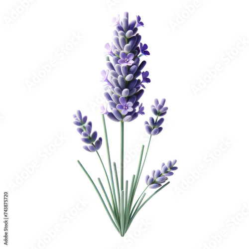  A single Lavender, themed for Mother's Day, rendered in a realistic and minimalist 3D style