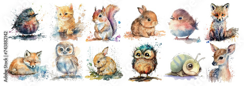 Watercolor Collection of Cute Forest Animals: A Vibrant Illustration Set Featuring a Hedgehog, Kitten, Squirrel, Rabbit, Foxes, Owl, Bird, Snail