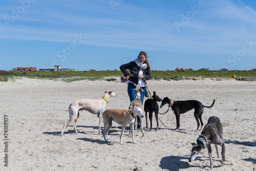 Urlaub mit Hunden an der Nordsee in Norddeich