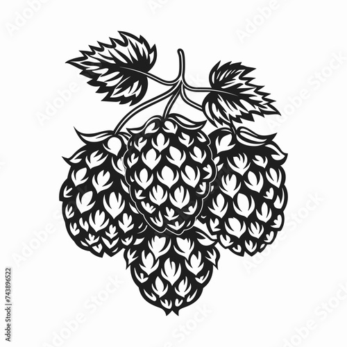 Hops vector icon illustration isolated - Craft Beer, Brewery