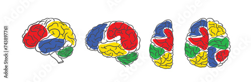 Hand drawn human brain vector, mental heath clip art, autism brain, brain line art, brain vector