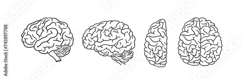 Hand drawn human brain vectorcollection, mental heath clip art, brain line art, brain vector