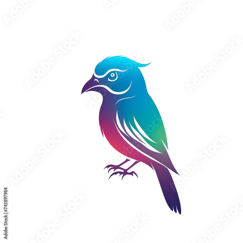 colorful Bird designs isolated on white background.