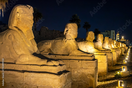 Sphinxes avenue illuminated at night in Luxor, Egypt photo