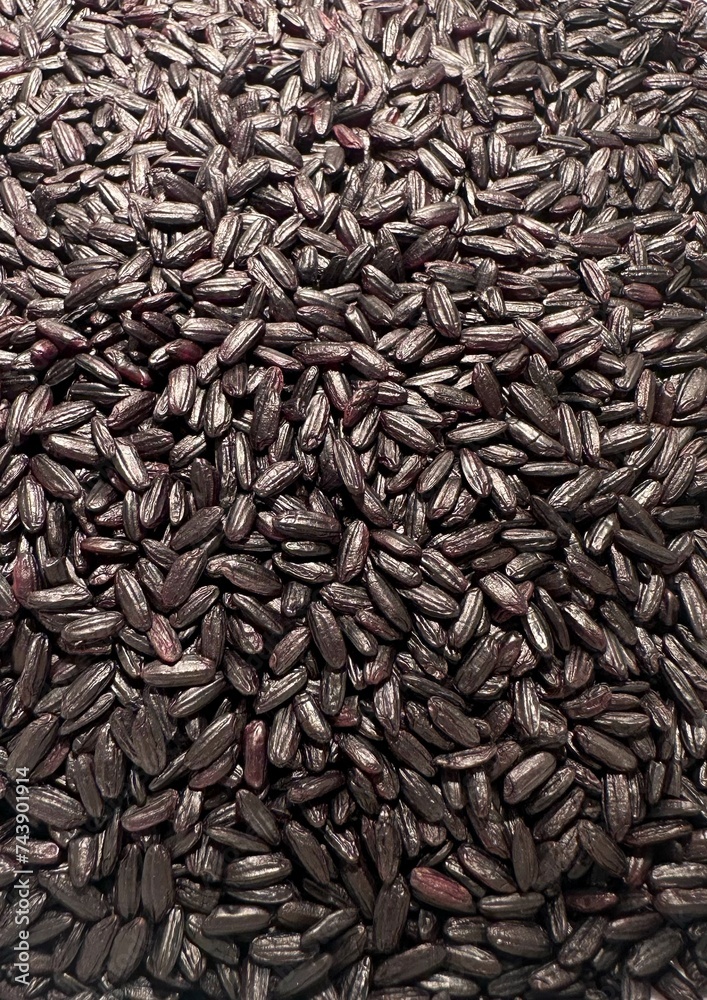 Black Venus Rice Grains closeup background texture, macro photography from above. Black nerone rice texture organic food background. Organic black nerone rice background