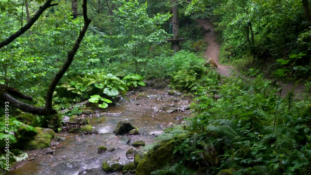A mountain river flows in a tropical forest. Tourist place. A mountain river flows in a tropical forest. Tourist place.