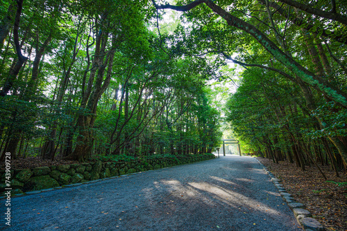 isejingu,shine,approach,torii photo