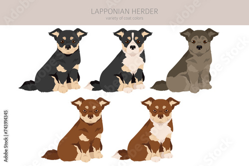 Lapponian Herder puppy clipart. Different poses, coat colors set