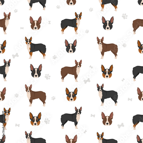 McNab dog seamless pattern. All coat colors set
