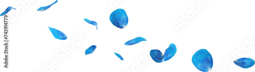 falling blue rose petals