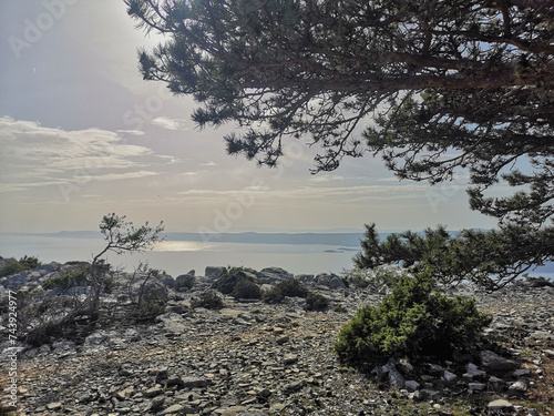 On top of the Vidova Gora, Croatia