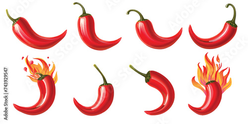 Vector illustration set of various chili peppers on white background.