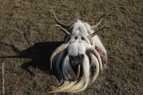 People called Kukeri parade in masks and ritual costumes, perform ritual dances to drive away evil spirits in the town of Elin Pelin, Bulgaria. photo