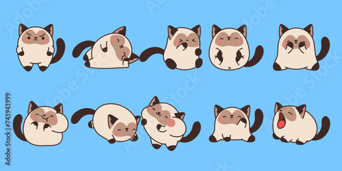 Set of Kawaii Isolated Siame Cat. Collection of Vector Cartoon Kitten Animal Illustrations for Stickers, Baby Shower, Coloring Pages, Prints for Clothes.
 photo