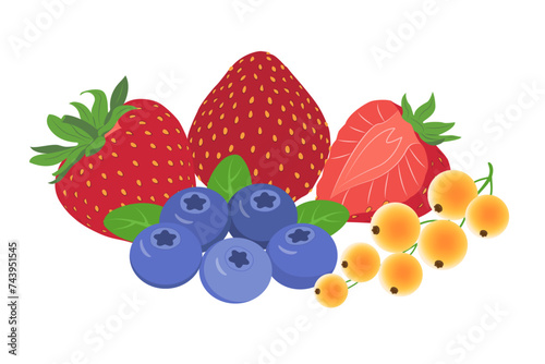 Forest fruits and berries isolated on white. Strawberry, white currant, blueberry. Vector illustration