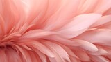 Stunning Macro Close-Up of Feathered Petals,close up of pink dahlia of feathers,Close-Up View of Pink Dahlia's Feathery Texture,Detailed Macro Shot of Pink Dahlia Petals and Feathers