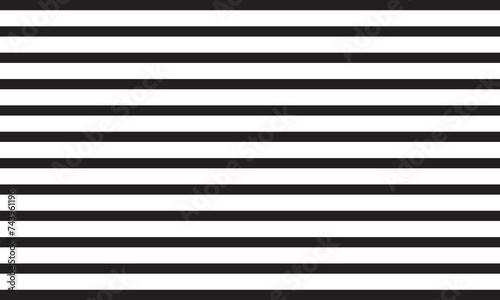 Black and White Lines. Vector illustration.