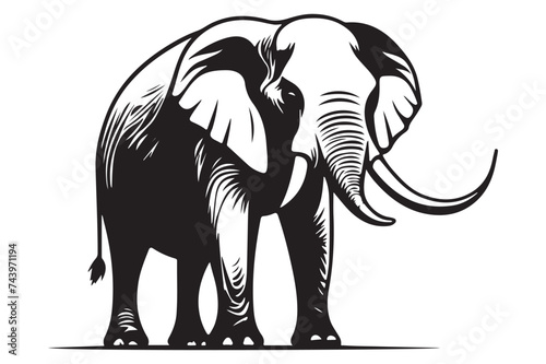 Elephant Silhouette  Vector Illustration  © VarotChondra