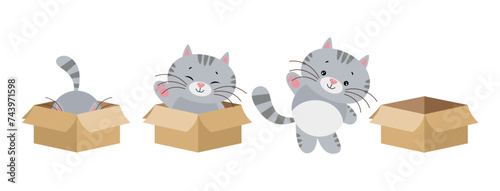 Cute cat in different positions going out a cardboard box