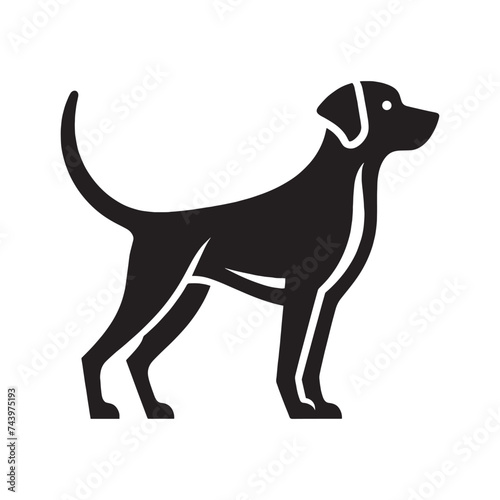 German Shorthaired Pointer.  Kurzhaar. Hunting dog. Simple black vector logo, icon © Victoria