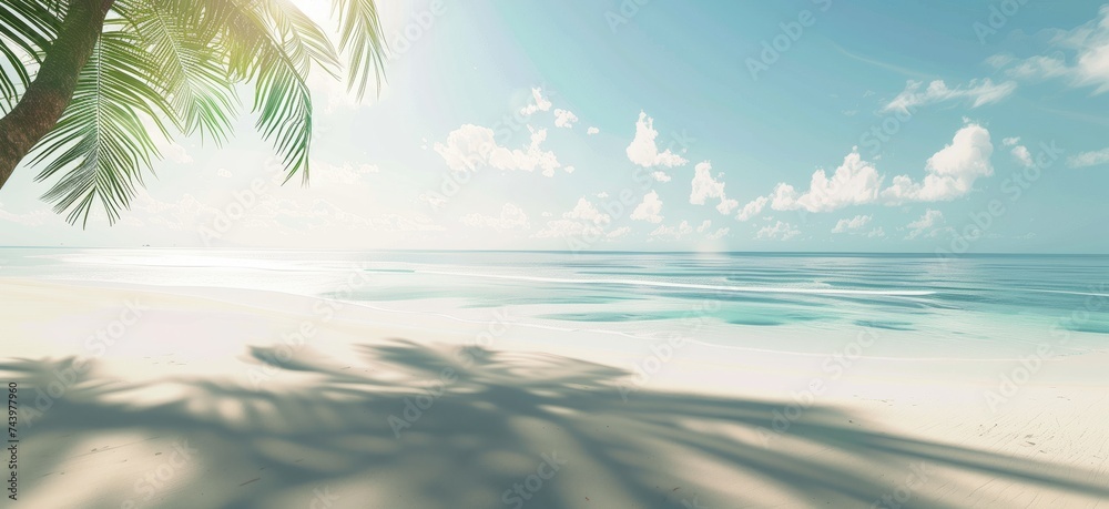 Beach view with sunlight and palm tree Beach view with sunlight and palm tree