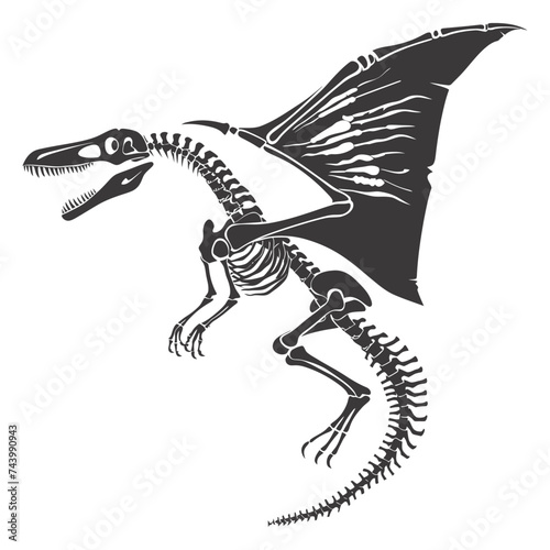 Silhouette Dinosaur Pterodactyl skeleton black color only