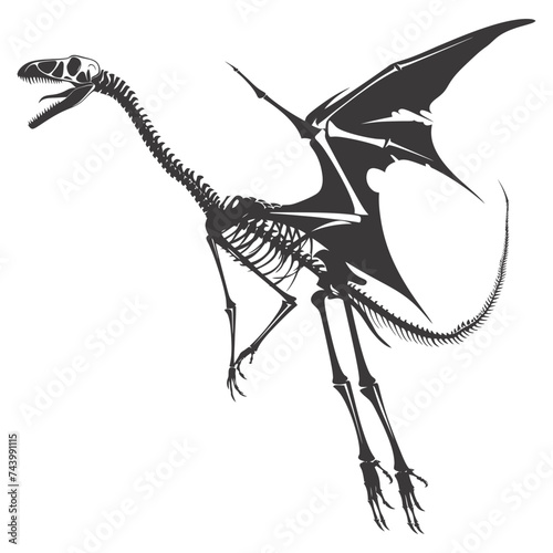 Silhouette Dinosaur Pterodactyl skeleton black color only