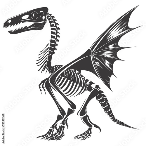 Silhouette Dinosaur Pterodactyl skeleton black color only © NikahGeh