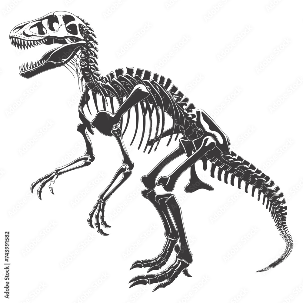 Silhouette Dinosaur skeleton black color only Silhouette Dinosaur skeleton black color only