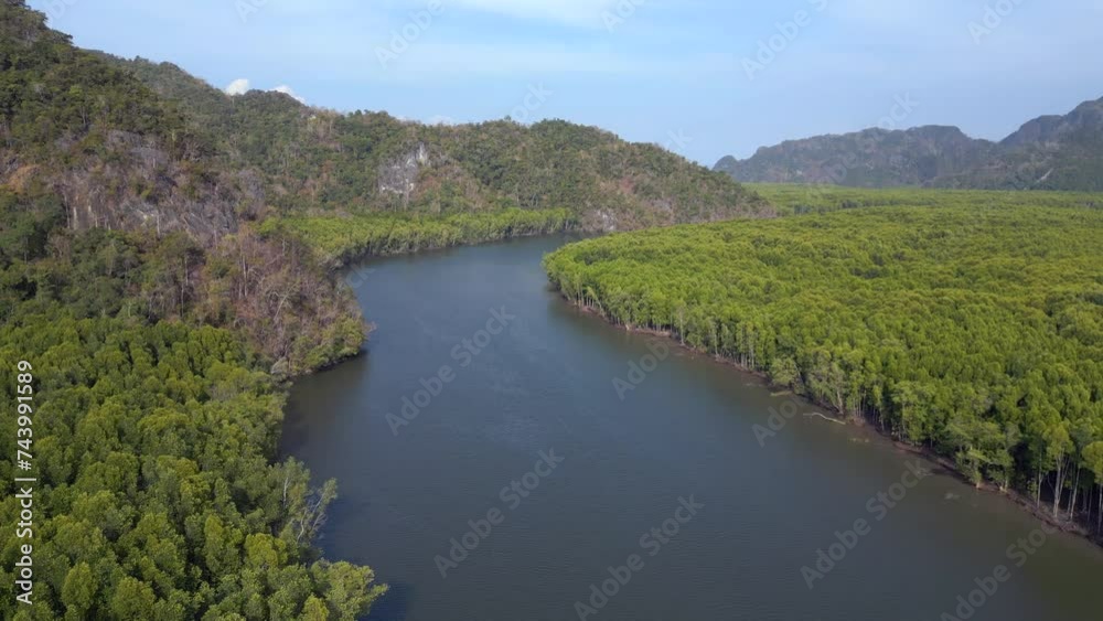 jungle mangrove river hills island malaysia. Wonderful aerial view flight drone jungle mangrove river hills island malaysia. Wonderful aerial view flight drone
