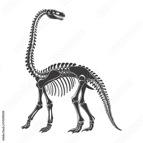 Silhouette Dinosaur skeleton black color only