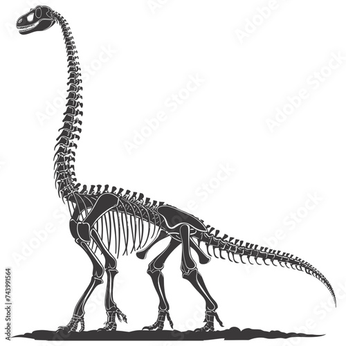 Silhouette Dinosaur skeleton black color only