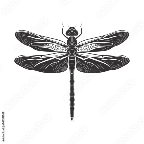 Silhouette Dragonfly black color only full body