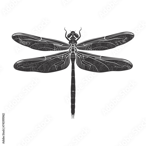 Silhouette Dragonfly black color only full body