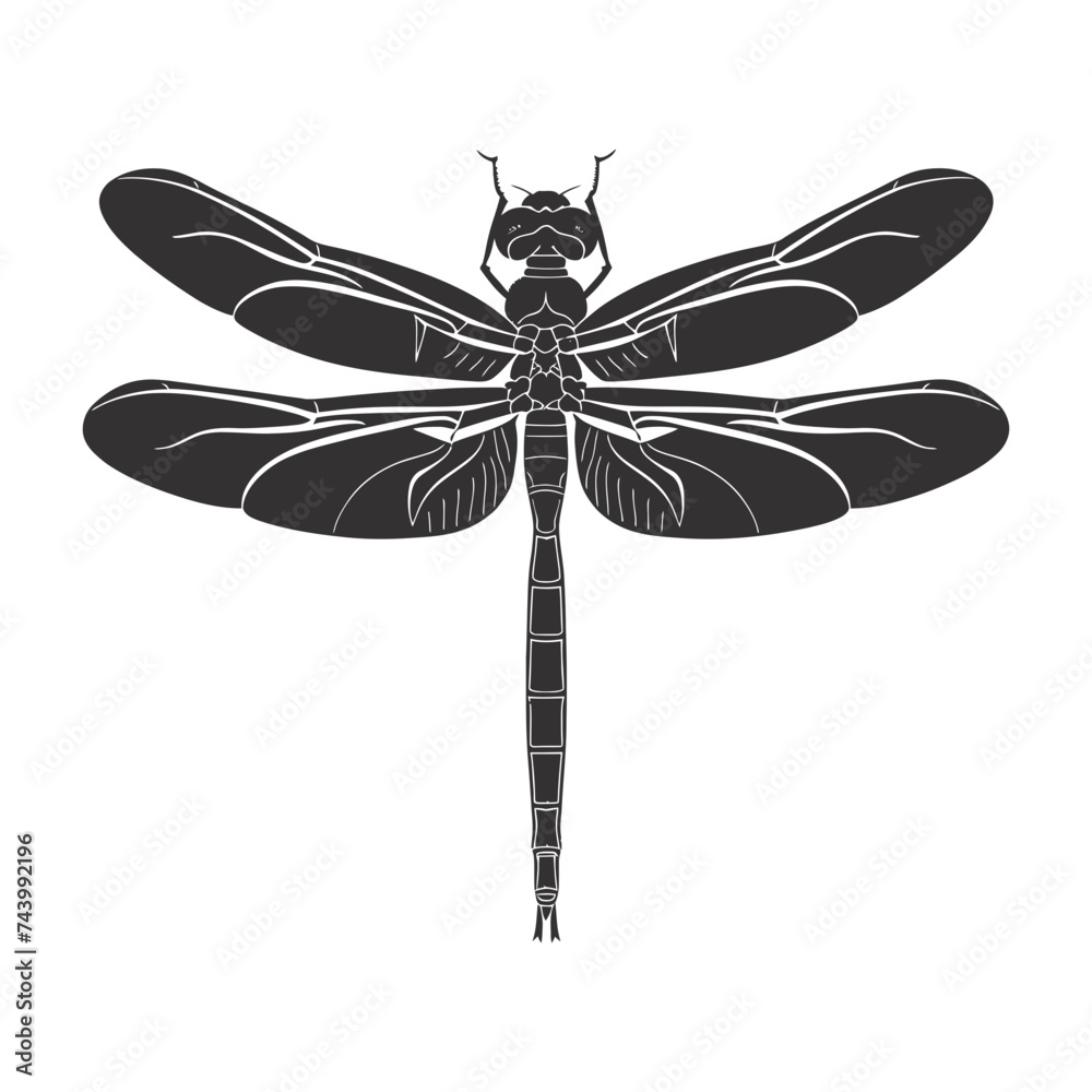 Silhouette Dragonfly black color only full body Silhouette Dragonfly black color only full body