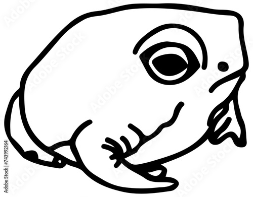 Cute Frog Vector