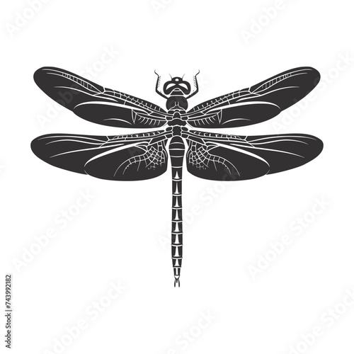 Silhouette Dragonfly black color only full body