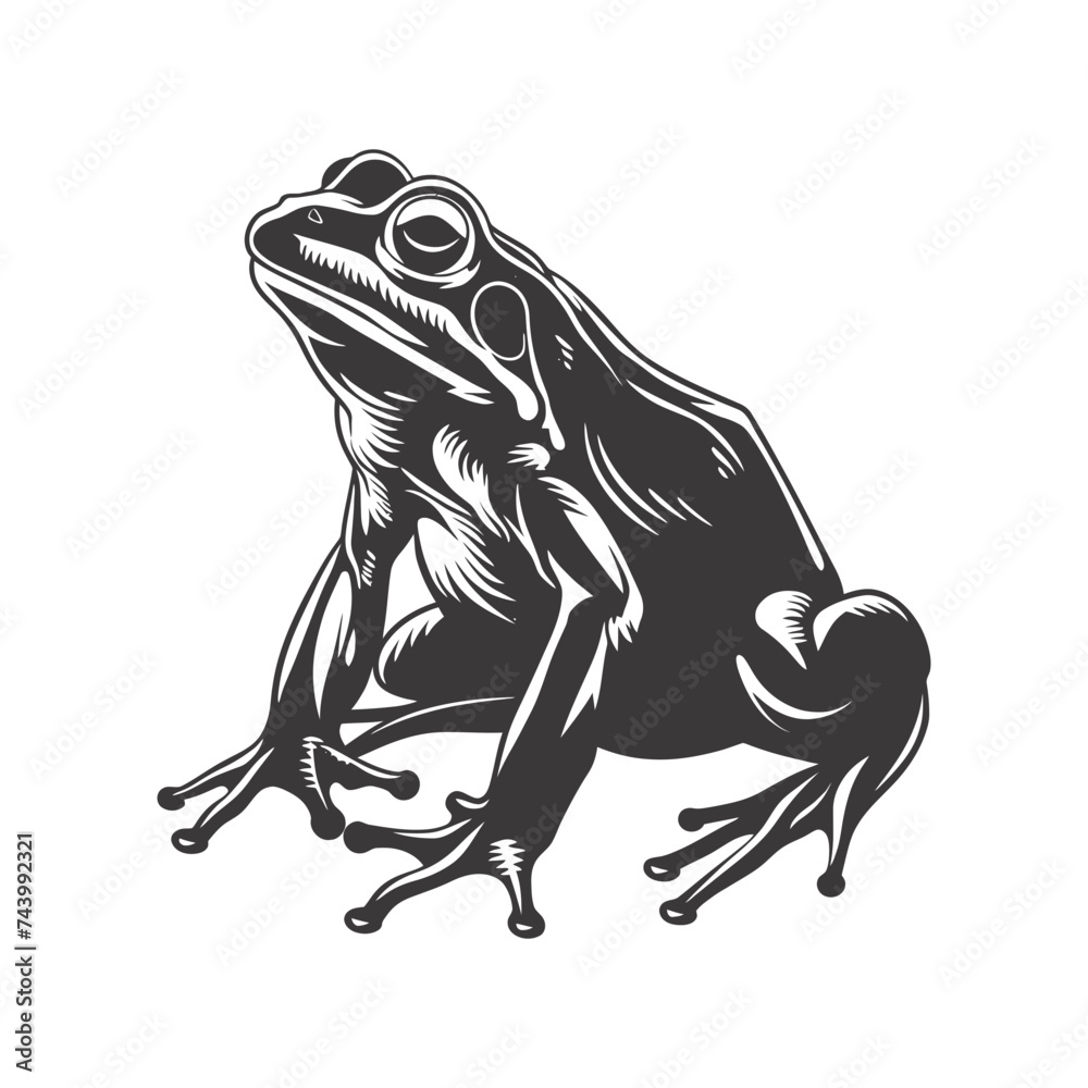 Obraz premium Silhouette frog black color only full body