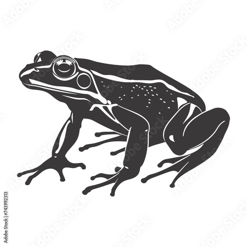 Silhouette frog black color only full body