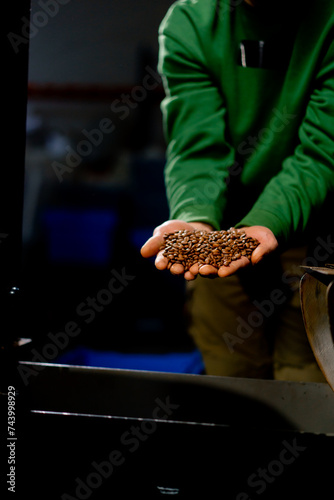 close-up of a coffee roasting factory worker runs his hand over the coffee and takes his hand