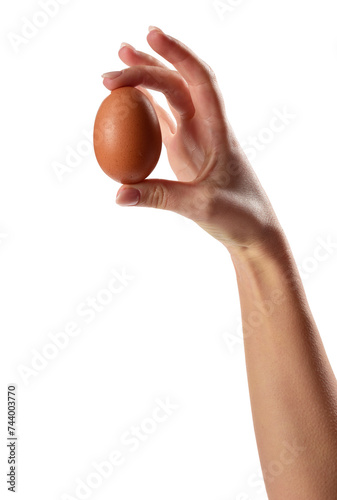 Uovo tra le dita di una mano photo