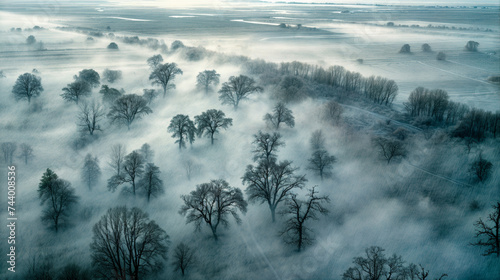 vue a  rienne d un paysage au petit matin recouvert d un brouillard entre les arbres    moiti   recouvert