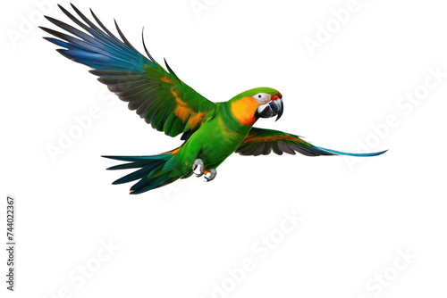 a high quality stock photograph of a single flying happy parrot isolated on a white background