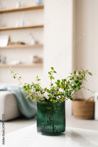 Glass green vase with branches in modern living room decor in light colors. Elegant lifestyle Scandinavian scene