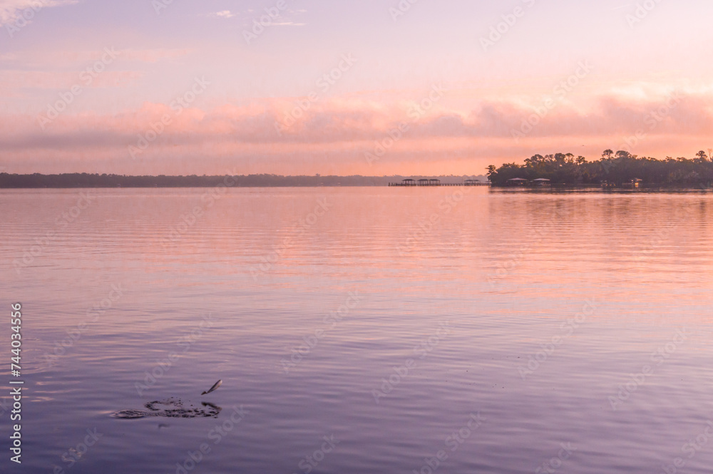Fototapeta premium Fish jumping into the air out of the St. Johns River in the morning light