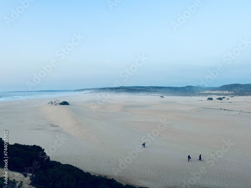 Fototapeta Naklejka Na Ścianę i Meble -  Dune at the ocean coast, wind at the sand beach