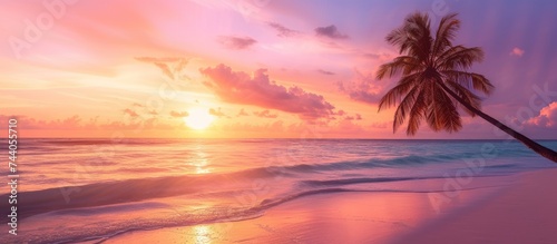 A palm tree stands tall on a sandy beach  against the backdrop of a sunset sky  representing the essence of a tropical beach vacation.
