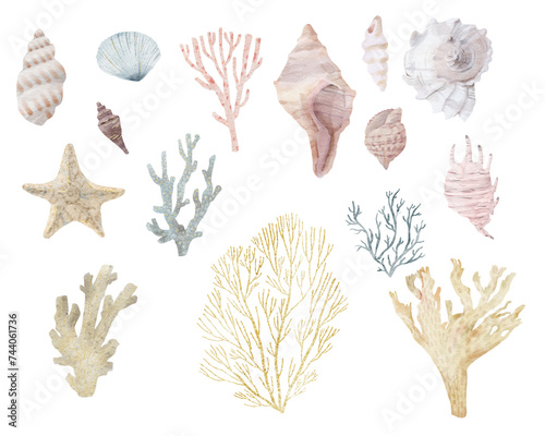 Watercolor set of seashells